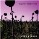 Skyron Orchestra - Situations